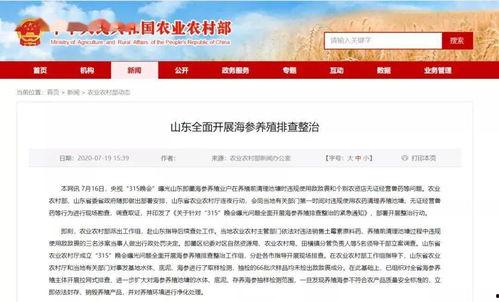 海参养殖爆料视频,揭秘幕后爆料视频背后的真相  第3张